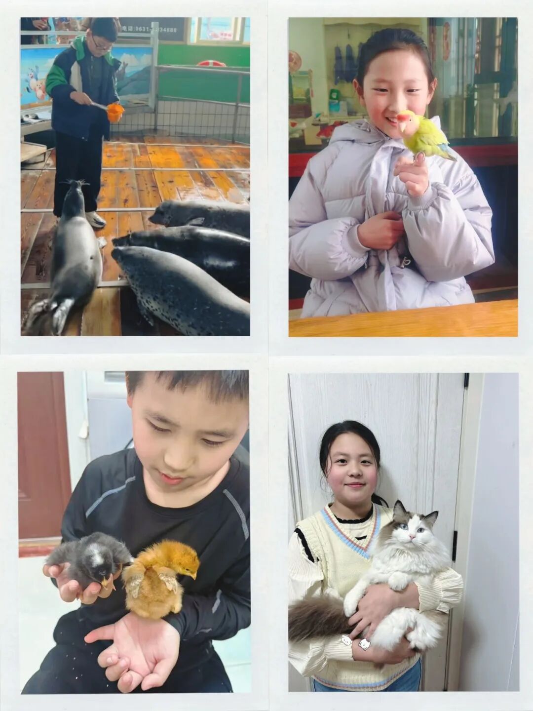 1775630923340252.jpg 6.jpg