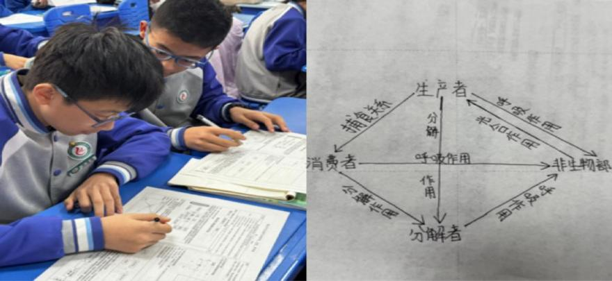 1775700979129598.png 图片 2.png